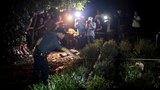 180905_PH-drugs-1000.jpg