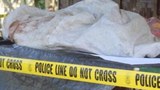 Philippine Govt Forces Kill Top IS Militant, Wife in Mindanao Raid
