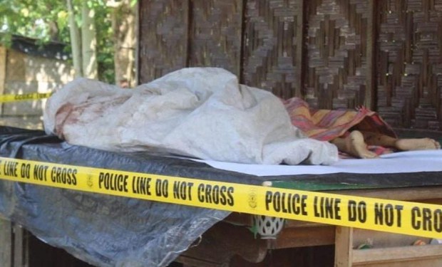 Philippine Govt Forces Kill Top IS Militant, Wife in Mindanao Raid Philippine Govt Forces Kill Top IS Militant, Wife in Mindanao Raid