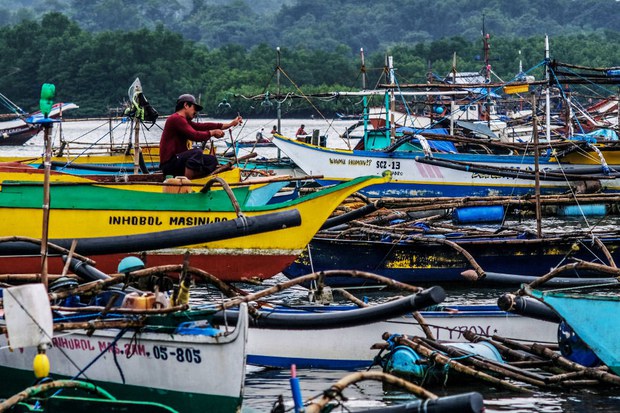 Overfishing Fuels South China Sea Tensions, Risks Armed Conflict, Researcher Says Overfishing Fuels South China Sea Tensions, Risks Armed Conflict, Researcher Says