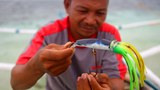 In isolated South China Sea territory, Filipino fisherman see ‘dwindling catch’