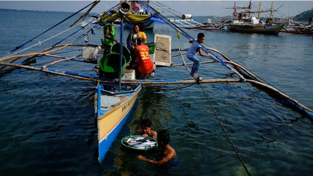 Maritime Law Expert Urges Manila to Name Islets in South China Sea Maritime Law Expert Urges Manila to Name Islets in South China Sea