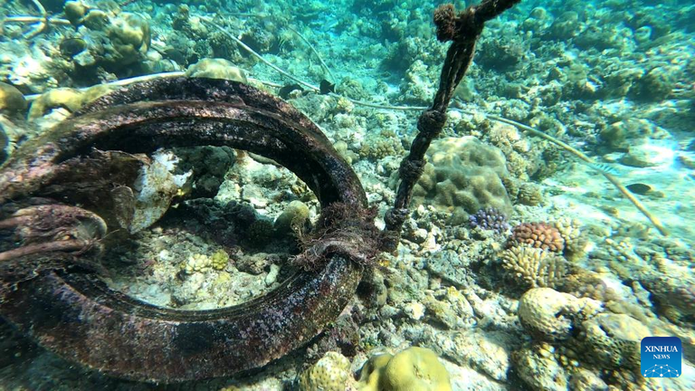 PH-reef-2.jpg PH-reef-2.jpg