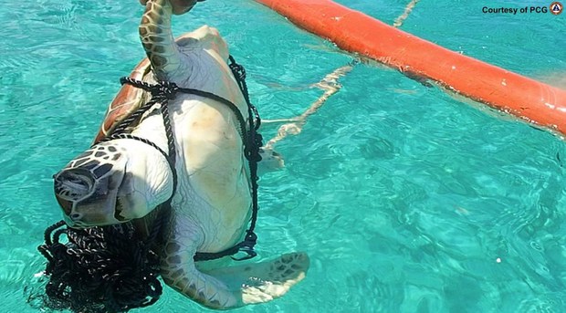 Philippines demands China ‘open’ Scarborough Shoal for international, environmental audit Philippines demands China ‘open’ Scarborough Shoal for international, environmental audit