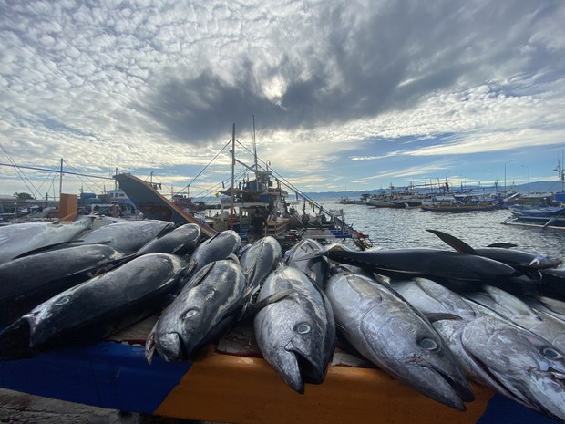 In Philippines’ tuna capital, fishermen are reeling from high fuel prices In Philippines’ tuna capital, fishermen are reeling from high fuel prices