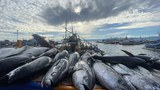 In Philippines’ tuna capital, fishermen are reeling from high fuel prices