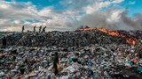 190606_PH-environment-trash-1000.jpg