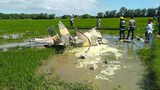 2 Philippine Air Force pilots killed in training flight crash