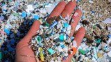 World’s oceans contain 170 trillion plastic particles, study says