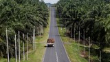 Philippines: Southern Leaders Met, But Not to Plan Invasion of Malaysia’s Sabah