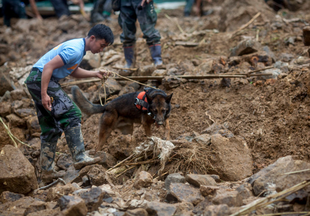 A police officer and his dog search for trapped miners following a landslide caused by Typhoon Mangkhut, Sept. 17, 2018. (Luis Liwanag/BenarNews)