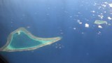 200408-rfa-top-620.jpeg