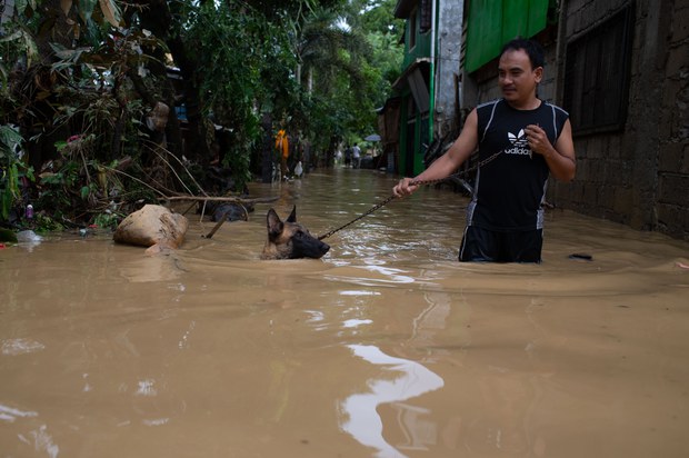 Several rescuers die as Super Typhoon batters Philippines Several rescuers die as Super Typhoon batters Philippines