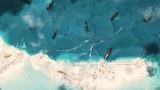 South China Sea coral reefs under severe threat, says report
