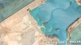 US think-tank: China, Vietnam biggest destroyers of South China Sea reef