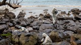 Philippines recommends criminal charges for ship-tanker owner in 2023 oil spill