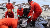 Marcos says massive oil spill clean-up could take under 4 months