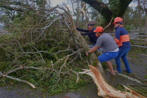 Department of Public Works and Highways employees clear a fallen tree from a road near Bangui, Workers from the Department of public works and highways clear a fallen tree on the highway near Bangui, Sept. 15, 2018. (Luis Liwanag/BenarNews)