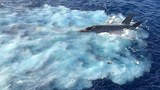 US Navy: Team Sent to Recover Downed F-35 Fighter-Jet