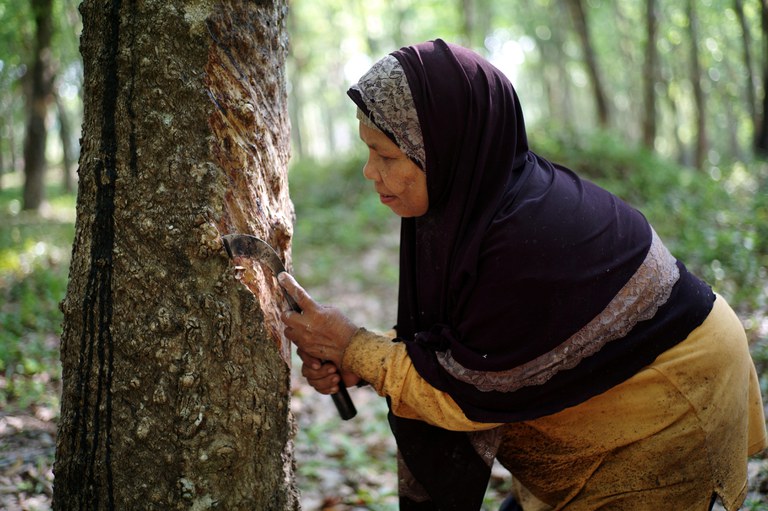 2019-03-21T000000Z_539205820_RC1CA431E750_RTRMADP_3_THAILAND-ELECTION-FARMERS.JPG 2019-03-21T000000Z_539205820_RC1CA431E750_RTRMADP_3_THAILAND-ELECTION-FARMERS.JPG