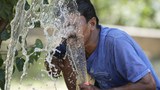Asia's April heatwaves likely caused by climate change, scientists say