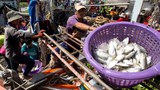 Thailand to Reopen Border for Lao Workers after COVID Pause
