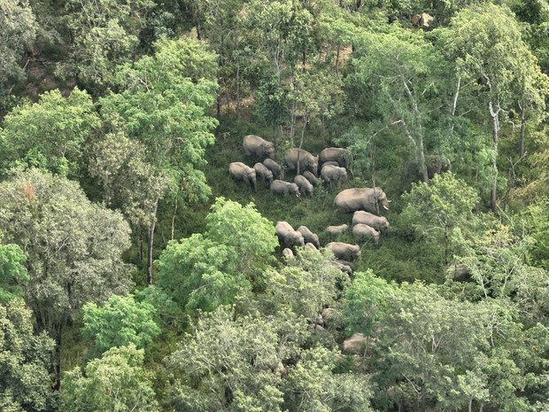 Controversy erupts over proposed Thai national park boundary adjustment