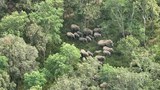 Controversy erupts over proposed Thai national park boundary adjustment