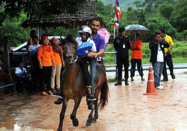 160210-horse-620 160210-horse-620