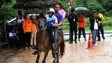 160210-horse-620