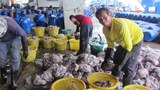 150522-TH-fisheries-620