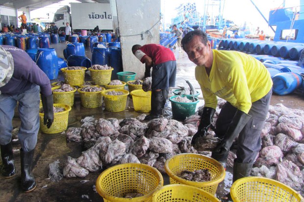 150522-TH-fisheries-620 150522-TH-fisheries-620