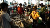 Groups Urge Thailand to Step Up Action to Protect Foreign Fishermen