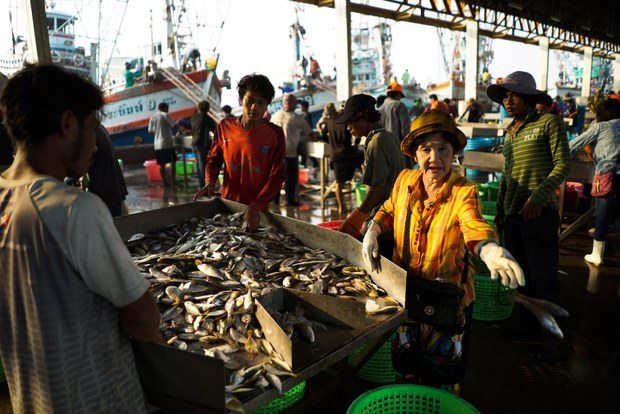 Groups Urge Thailand to Step Up Action to Protect Foreign Fishermen Groups Urge Thailand to Step Up Action to Protect Foreign Fishermen
