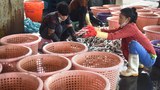 Thailand’s proposed fishing law leaves Burmese workers vulnerable