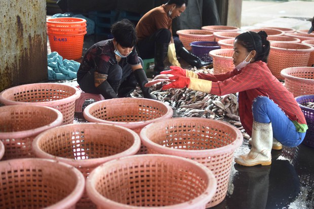Thailand’s proposed fishing law leaves Burmese workers vulnerable