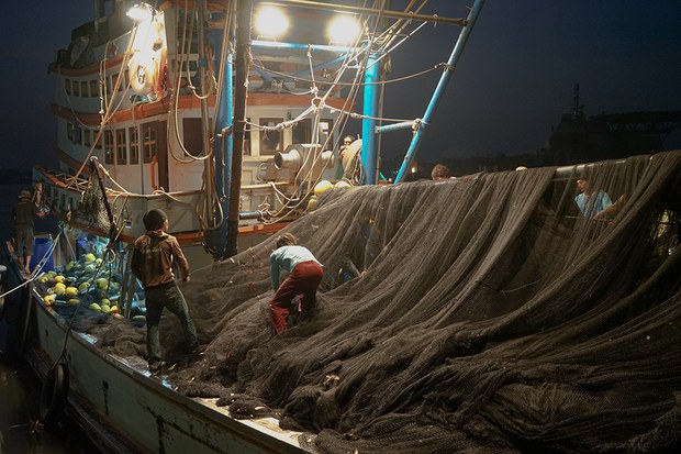 180904-TH-labor-fisheries-1000.jpg 180904-TH-labor-fisheries-1000.jpg