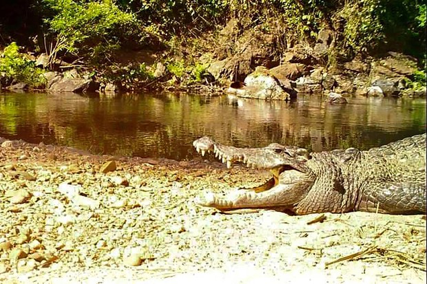 UNESCO Adds Thai Park to World Heritage List, Amid Karen Rights Concerns UNESCO Adds Thai Park to World Heritage List, Amid Karen Rights Concerns