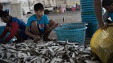 170703-TH-migrant-620.jpg