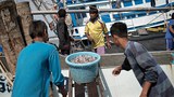 160622-TH-Fishingboat-620.jpg