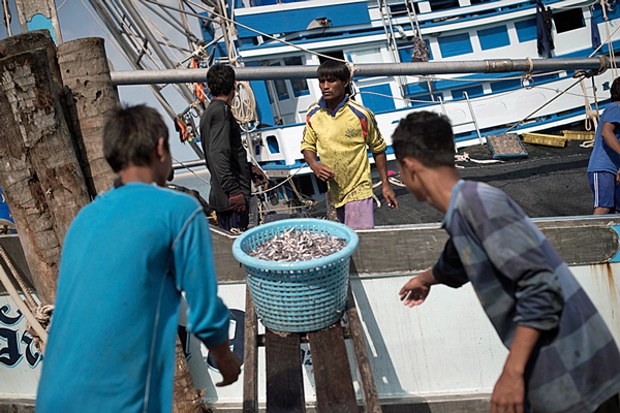 160622-TH-Fishingboat-620.jpg 160622-TH-Fishingboat-620.jpg