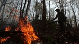 Wildfires, cross-border haze complicate air pollution crisis in northern Thailand