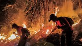 Northern Thailand chokes under severe smog as wildfires rage