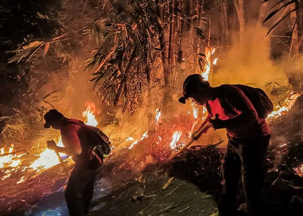 Northern Thailand chokes under severe smog as wildfires rage Northern Thailand chokes under severe smog as wildfires rage