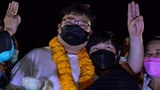 Thai Pro-Democracy Protest Leader Freed on Bail
