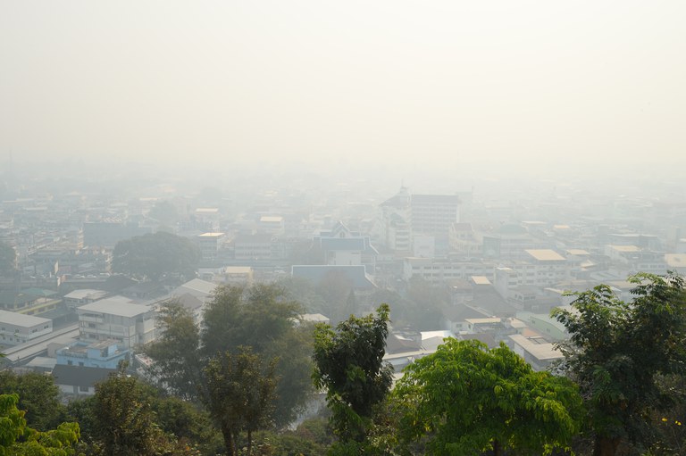 RFA-fog2.JPG RFA-fog2.JPG