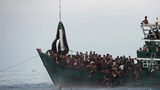 160609-TH-trafficking-620.jpg
