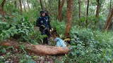 Thai soldiers kill suspected drug traffickers along Myanmar border