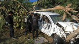 TH-south-violence-1000.jpg