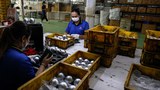 Thai business sector warns of job losses, inflation tied to wage hike